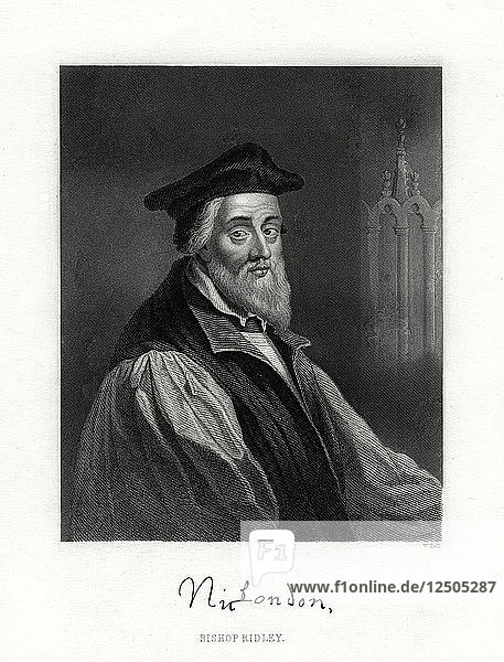 Nicholas Ridley  (gestorben am 16. Oktober 1555)  englischer Geistlicher  19. Jahrhundert. Künstler: W. Holl