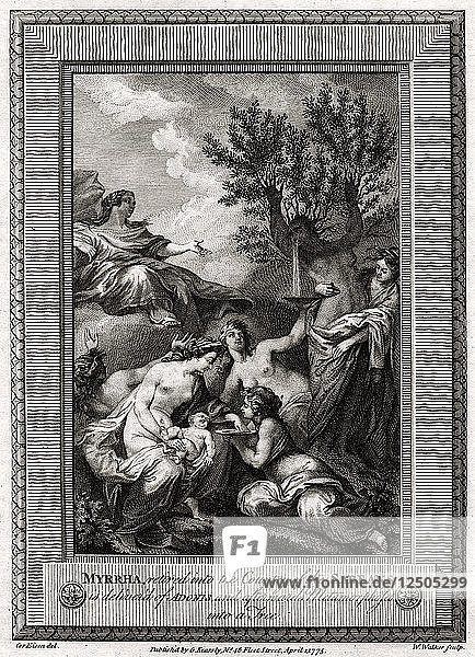Myrrha  zurückgezogen in das Land der Sabäer  wird von Adonis befreit...  1775. Künstler: W Walker