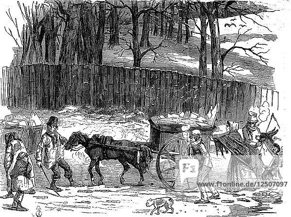 London ice carts  1850. Artist: Unknown