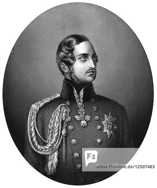 Albert (1819-1861)  Prince Consort of Queen Victoria  1851. Artist: Unknown