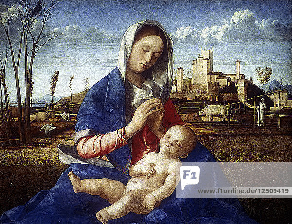 Die Madonna auf der Wiese  um 1500. Künstler: Giovanni Bellini