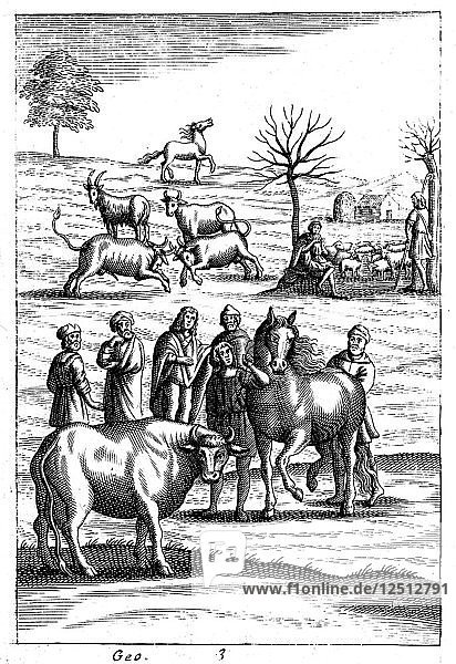 Sheep  cattle  horses and goats  18th century. Artist: Unknown