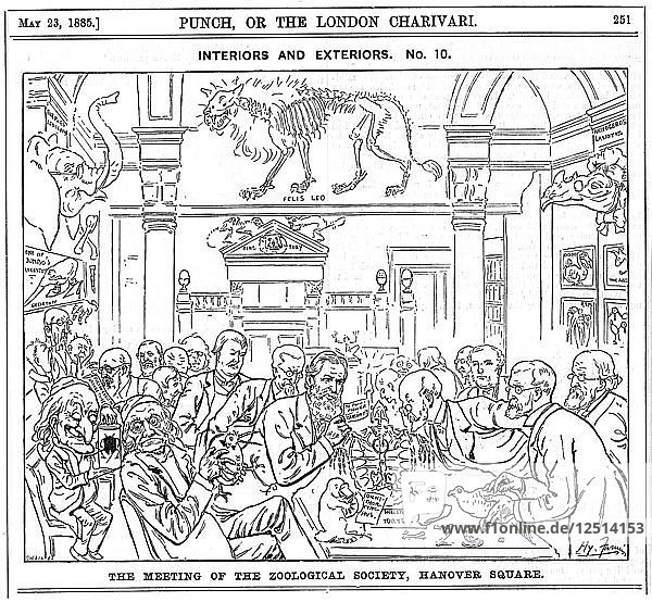 The Meeting of the (Royal) Zoological Society  Hanover Square  London  1885. Artist: Harry Furniss