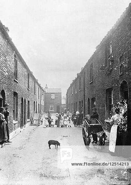 Katzenfleischmann in einer Slumstraße  London  1900er Jahre. Künstler: John Galt