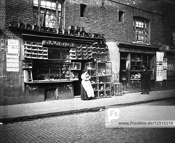 Sonntagsvogelmesse  Sclater Street  abseits der Brick Lane  London  1900er Jahre. Künstler: John Galt