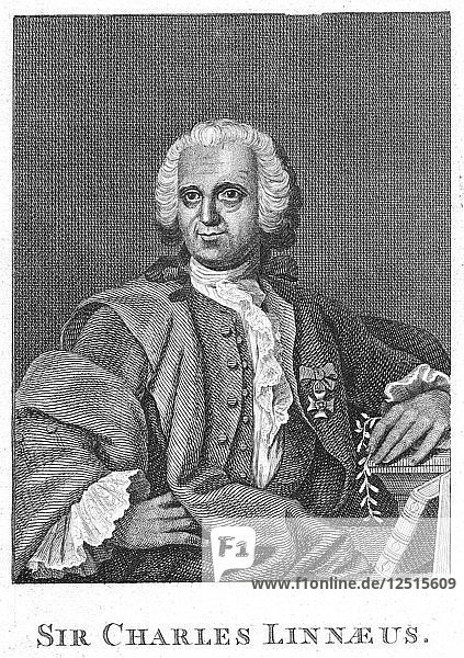 Carolus Linnaeus  schwedischer Naturforscher des 18. Jahrhunderts. Künstler: Unbekannt