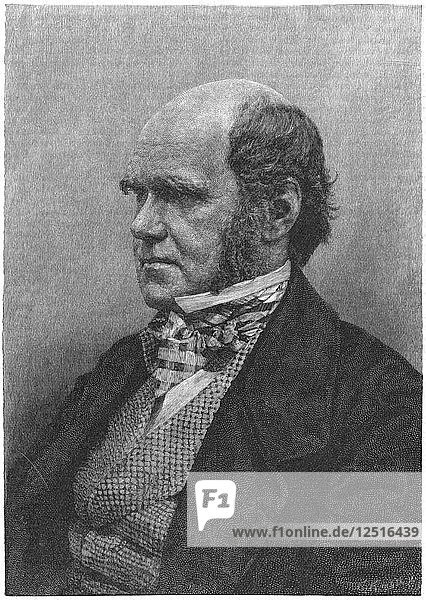 Charles Darwin  englischer Naturforscher  1884. Künstler: Anon