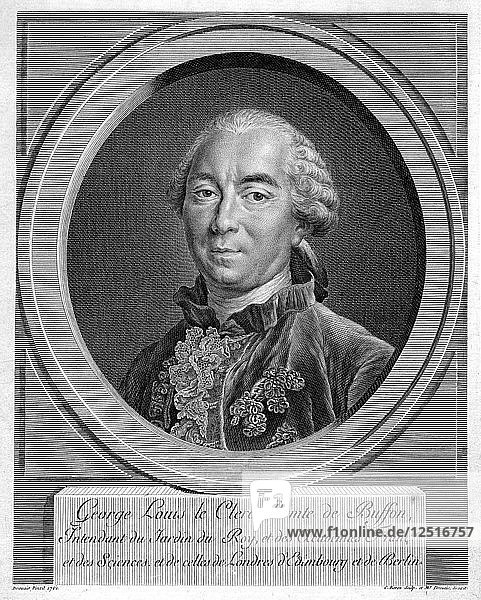 Georges-Louis Leclerc  Comte du Buffon  französischer Naturforscher  1761. Künstler: Unbekannt