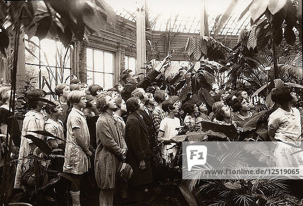 Einer Gruppe von Mädchen werden die Merkmale eines Gewächshauses gezeigt  York  Yorkshire  1929. Künstler: Unbekannt