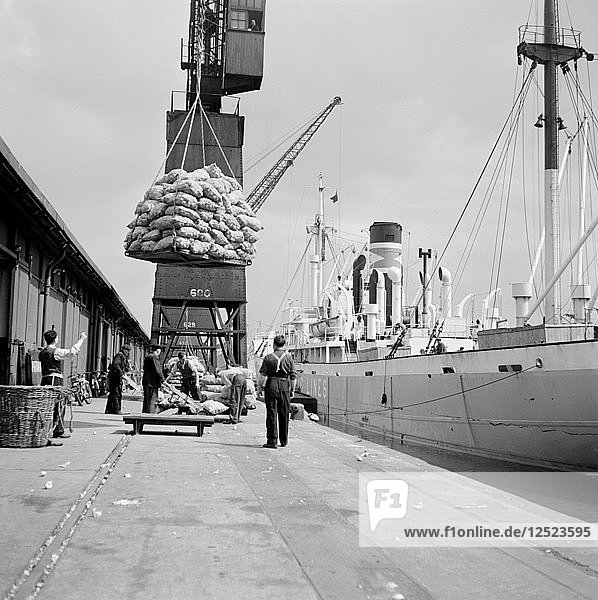 North Quay  West India Docks  London  c1945-c1965. Artist: SW Rawlings