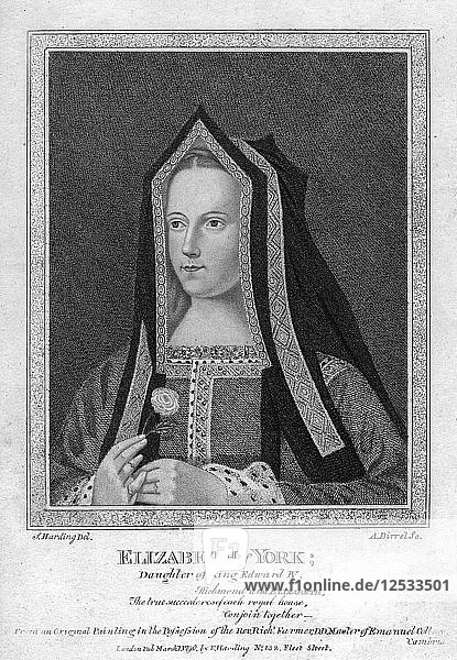 Elisabeth von York  Königingemahlin von König Heinrich VII  (1790) Künstler: A Birrell