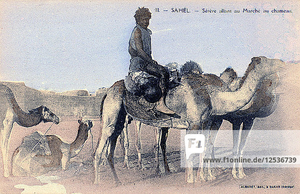 Serere  die Sahelzone  Senegal  20. Jahrhundert. Künstler: Albaret