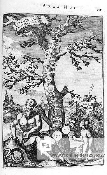 Genealogy tree of Adam  1675. Artist: Athanasius Kircher
