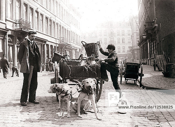 Junge mit Hundewagen  Antwerpen  1898.Künstler: James Batkin