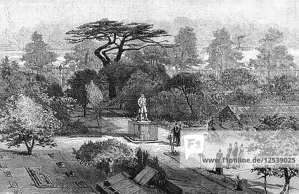 The old physic garden Chelsea 1890. Artist: Unknown