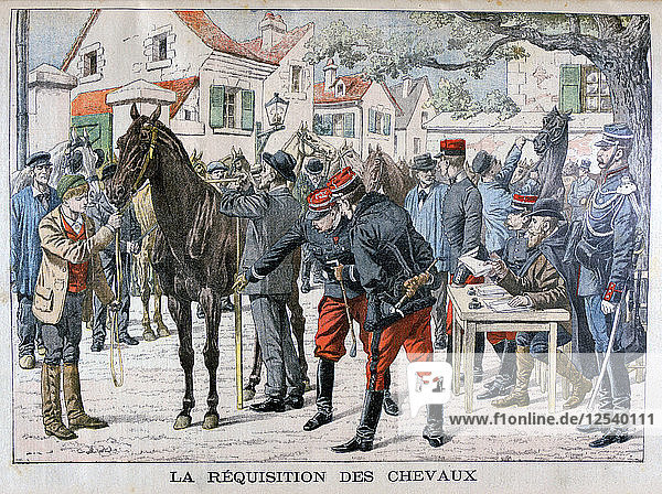 Die französische Armee kauft Pferde  1904. Künstler: Unbekannt