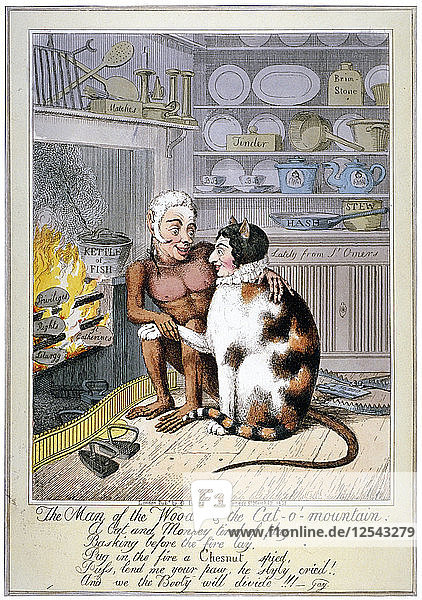 Der Mann aus dem Wald und die Katze auf dem Berg  1821. Künstler: Anon