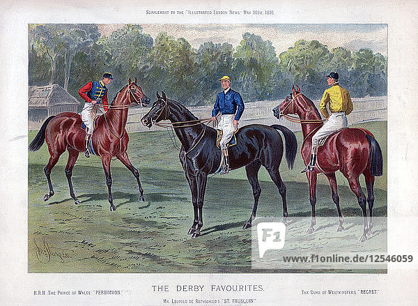 The Derby Favourites  30 May 1896. Artist: John Sturgess