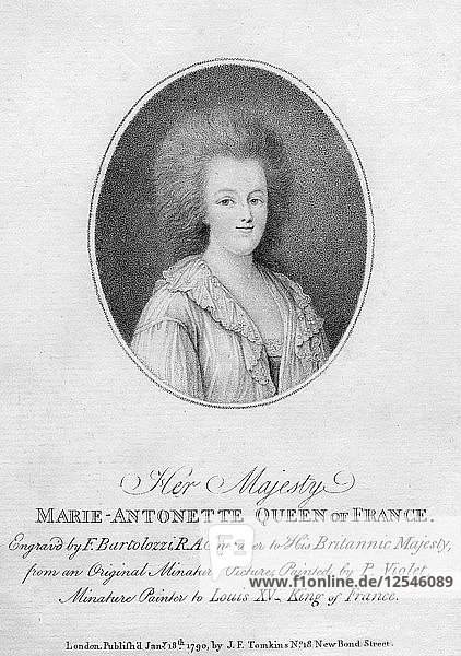 Marie Antoinette  Königingemahlin von Ludwig XVI. von Frankreich  1790 Künstler: Francesco Bartolozzi
