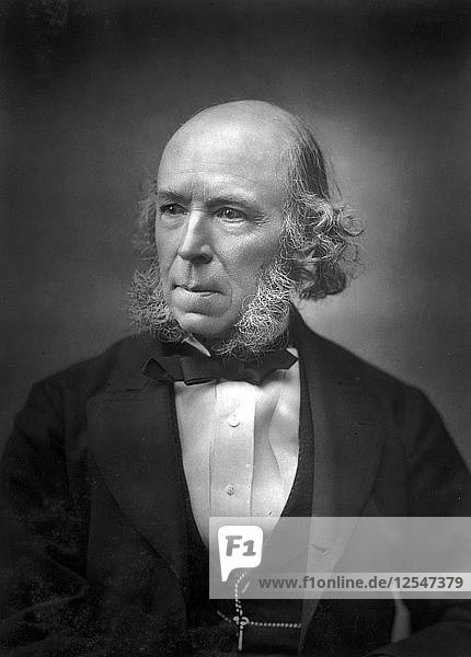 Herbert Spencer (1820-1903)  late 19th century. Artist: Unknown