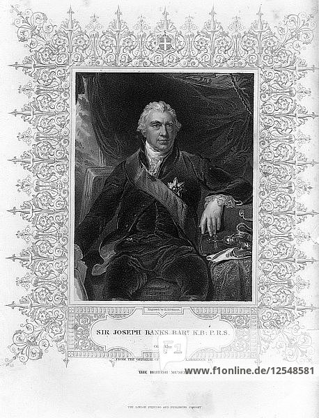 Sir Joseph Banks (1743-1820)  englischer Naturforscher  Botaniker und Wissenschaftsmäzen  19. Jahrhundert.Künstler: H. Robinson