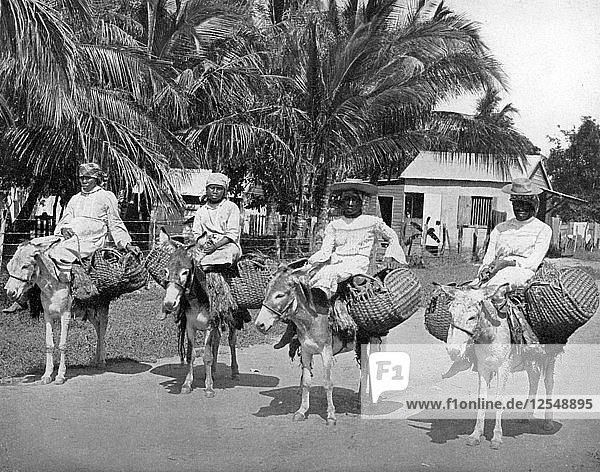 Auf dem Heimweg vom Markt  Jamaika  um 1905 Künstler: Adolphe Duperly & Sohn