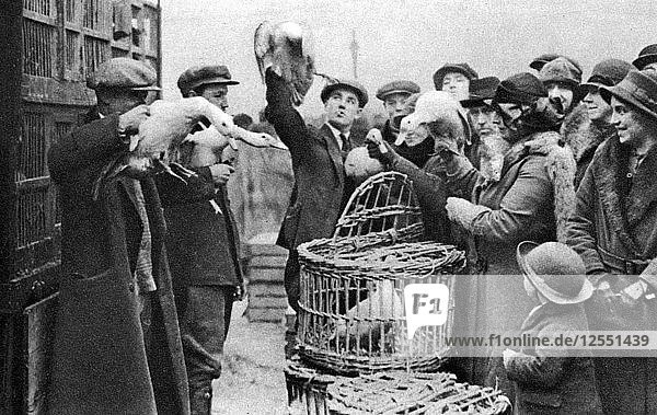 Geflügelhändler  Caledonian Market  London  1926-1927. Künstler: Unbekannt