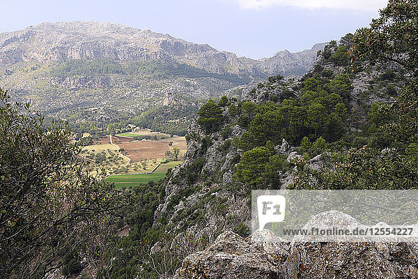 Berglandschaft in der Nähe von Lluc  Mallorca.