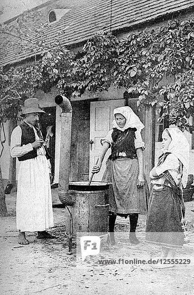 Herstellung von Gelee in Czinkota  Ungarn  1922.Künstler: AW Cutler