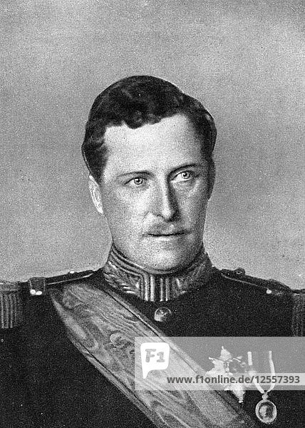 Albert  König von Belgien  Erster Weltkrieg  1914  Künstler: W&D Downey