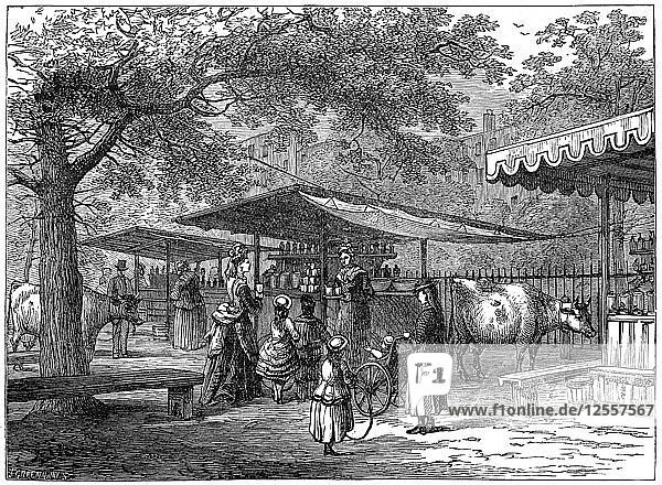 A milk fair  St Jamess Park  London  1891.Artist: J Greenaway