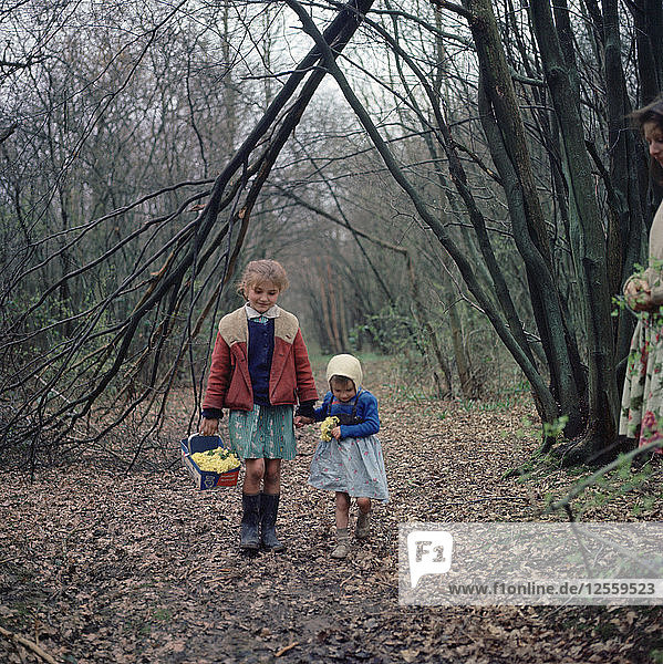 Zwei junge Zigeunermädchen  Mitglieder der Familie Vincent  Charlwood  Gebiet Newdigate  Surrey  1964.