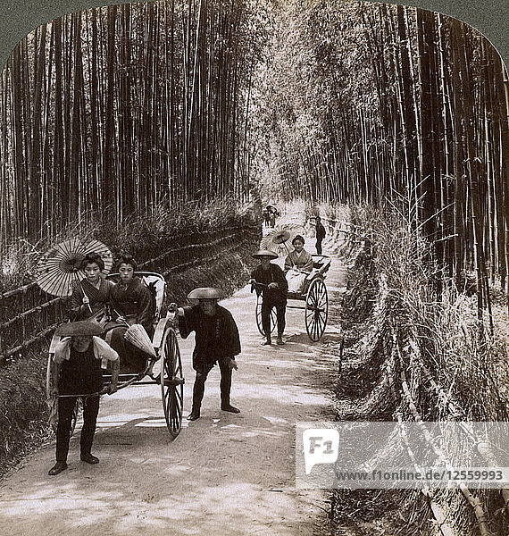 Bambusallee  Blick nach Südwesten  bei Kiyomizu  Kyoto  Japan  1904. Künstler: Underwood & Underwood