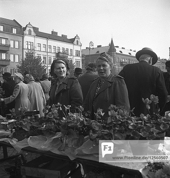 Stand mit Topfpflanzen auf dem Markt  Malmö  Schweden  1947. Künstler: Otto Ohm