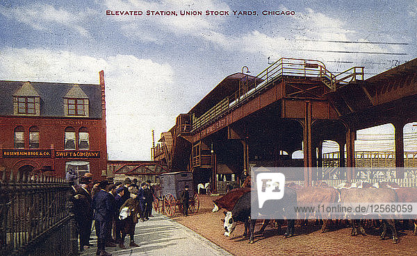 Hochbahnstation  Union Stock Yards  Chicago  Illinois  USA  1910. Künstler: Unbekannt