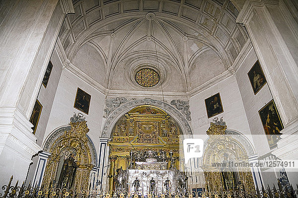 Kathedrale von Granada  Granada  Spanien  2007. Künstler: Samuel Magal