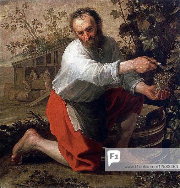 Winegrower  1628. Artist: Jacob Gerritsz Cuyp