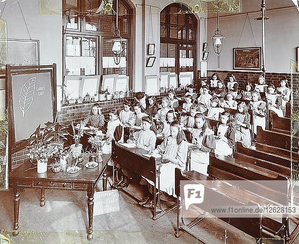 Naturunterricht  Albion Street Girls School  Rotherhithe  London  1908. Künstler: Unbekannt.