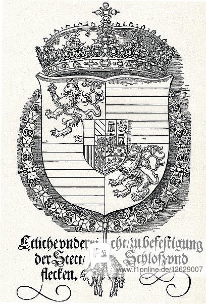 The Coat of Arms of Ferdinand I  King of Hungary and Bohemia  1527 (1906). Artist: Albrecht Durer.