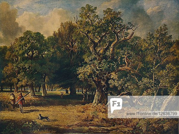 Windsor Forest  um 1835. Künstler: James Stark.