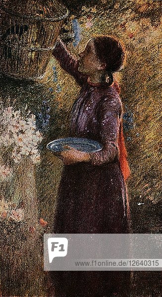 Der Vogelkäfig  um 1900  (1918). Künstler: Edward Stott.