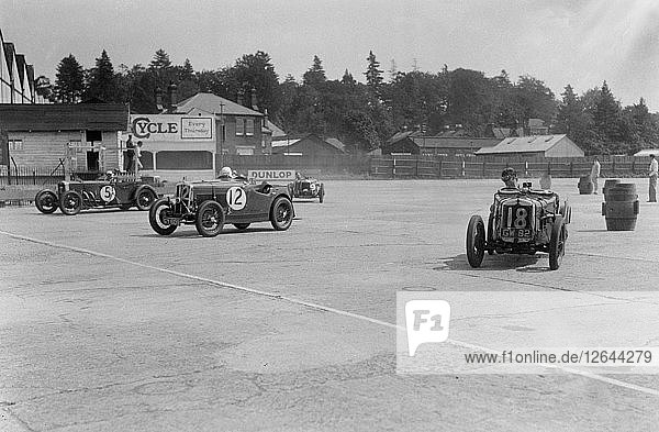 Frazer-Nash  Wolseley Hornet and Riley 9 Brooklands  BARC meeting  Brooklands  Surrey  1933. Artist: Bill Brunell.