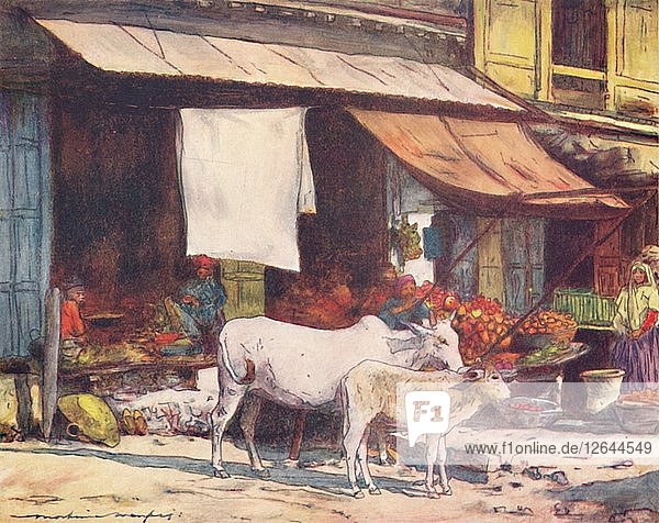 Eine Ecke auf dem Obstmarkt  Delhi  1905. Künstler: Mortimer Luddington Menpes.