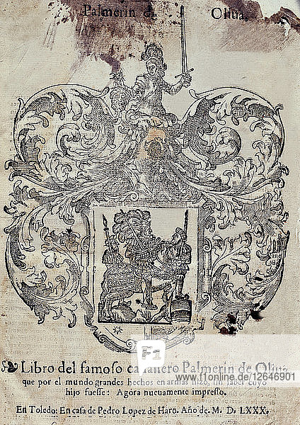 Palmerin de Oliva  Buch des berühmten Ritters Palmerín de Oliva  gedruckt in Toledo von Pedro Lopez ?