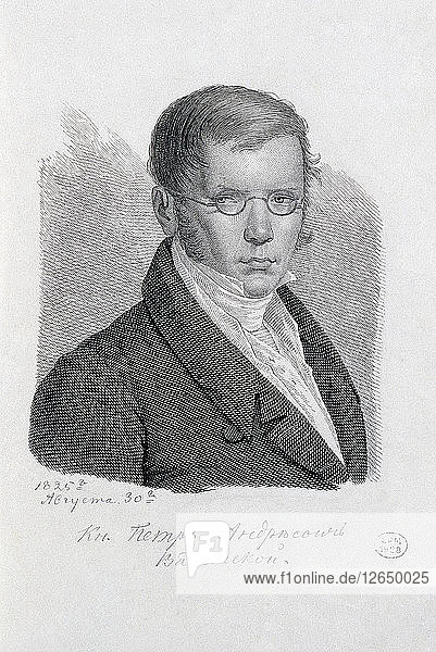 Porträt des Dichters Fürst Pjotr Andrejewitsch Wjasemski (1792-1878).