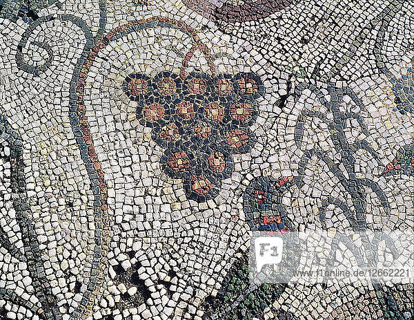 Mosaic in the Amphitheatre house representing a cluster of grapes and a bird preserved in the ar?