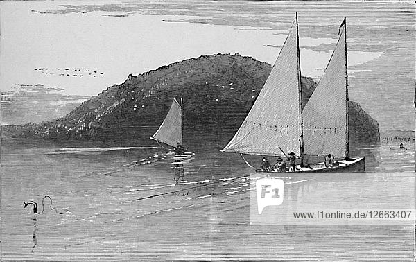 Fischfang von einem Segelboot aus  1883. Künstler: Unbekannt.