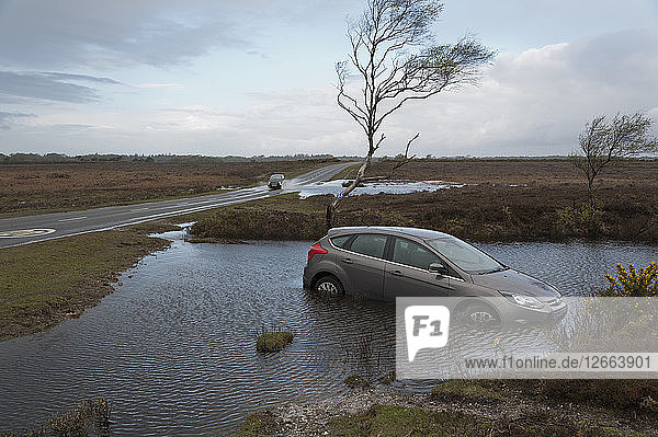 Ford Focus im überfluteten Graben nach Kontrollverlust auf nasser Straße 2012 Künstler: Unbekannt.