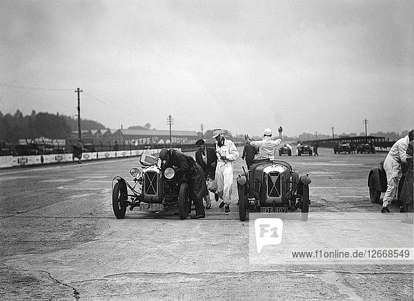 Two Salmson cars at the JCC Members Day  Brooklands  4 July 1931. Artist: Bill Brunell.