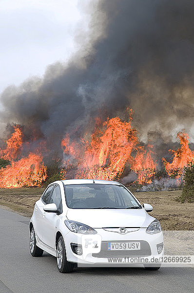 2010 Mazda 2 Sport  kontrollierte Verbrennung in New Forest Artist: Unbekannt.